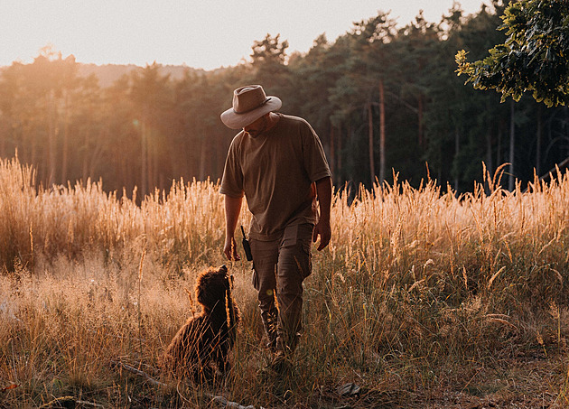 Kotek udělá ze štěněte „pudla“ vyhledávačku divočáků. A myslivecké zkoušky