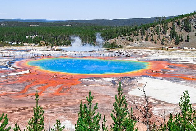 Supervulkán, gejzíry i medvědi na dosah ruky. Yellowstone slaví výročí
