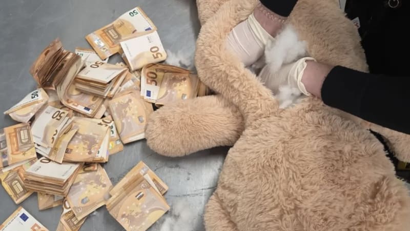 Šok při třídění plyšáků v Nizozemsku: Do medvídka zašili pohádkový obnos