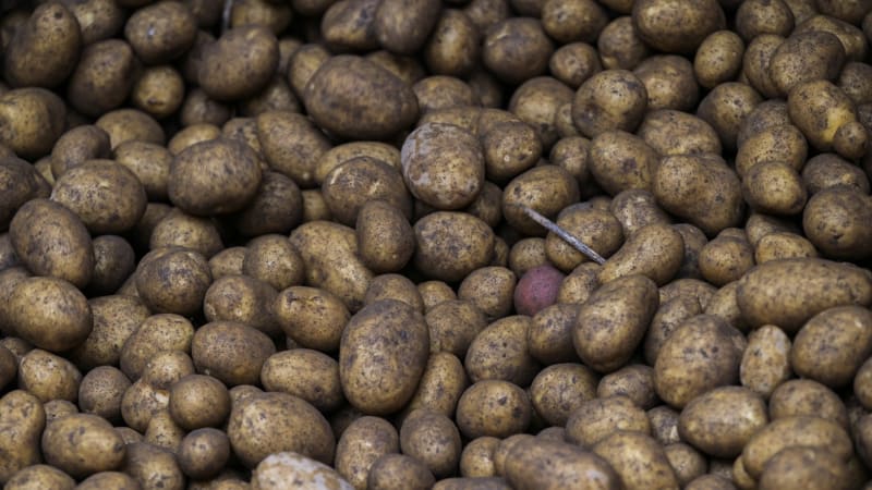 Potraviny jsou výrazně méně zdravé než před 40 lety. Studie odhalila destruktivní vliv ovzduší