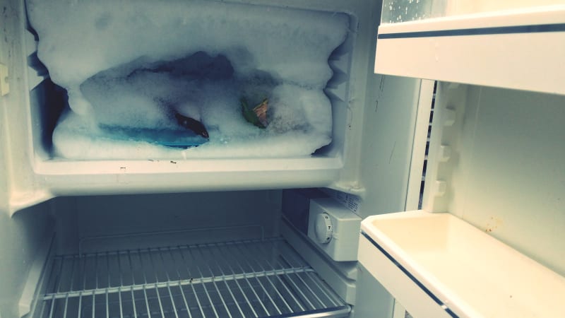 Špína, krev a mražený hmyz. Inspekce v Brně objevila 200 kg nehygienicky skladovaných potravin