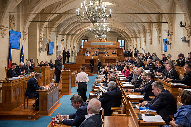 „Je to sociální nákaza ze zahraničí.“ Nad zákonem o změně pohlaví válčí senátoři