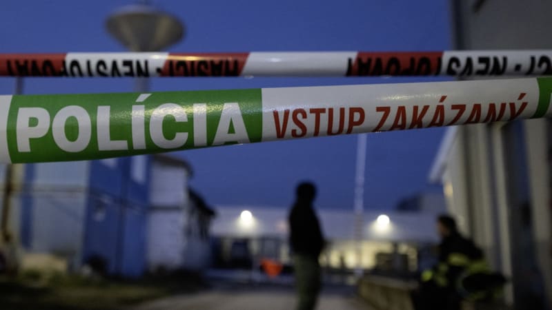 Měla zlou předtuchu, pak přišel manžel a před dětmi Zuzanu podřezal. Slováci již muže obvinili