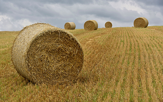 Stát řeší boj zemědělců se suchem. Rozdělí mezi ně miliardy