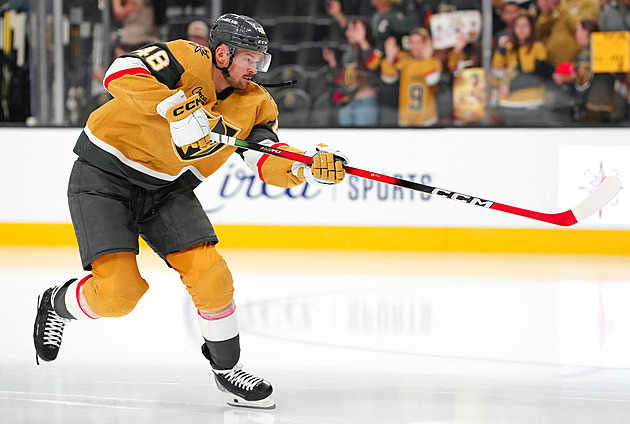 Vejmelka v přípravě NHL vychytal čisté konto, Hertl se trefil za Vegas