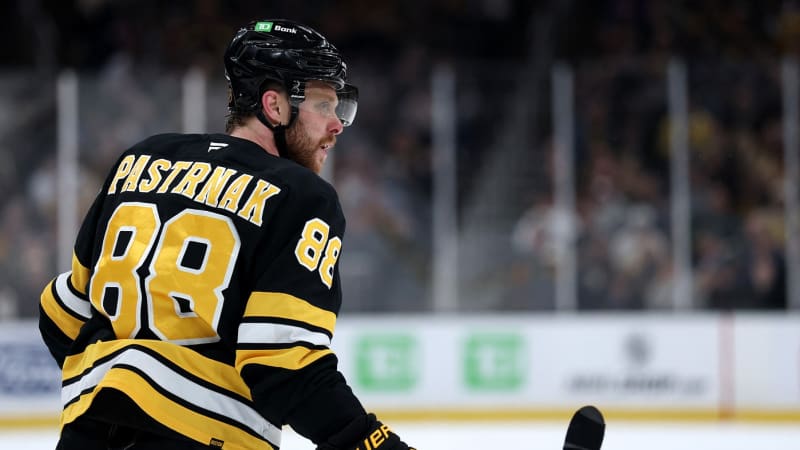 Pastrňák na Primě. Sledujte české hvězdy a Crosbyho, sezona NHL se rozjíždí ve velkém stylu